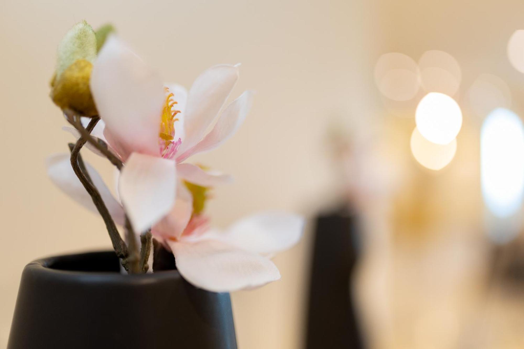 Hotel Ben Aouda & Spa Tipaza Zewnętrze zdjęcie